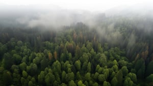 CTC commitment to environmental sustainability