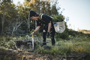 New Brunswick Tree Planting